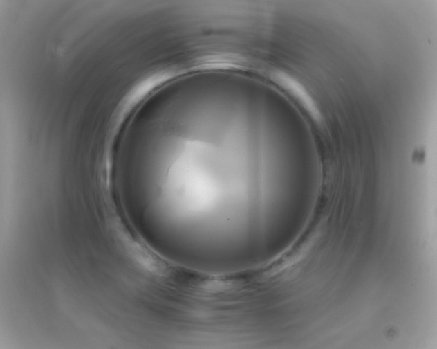 X0000095121419200712071230