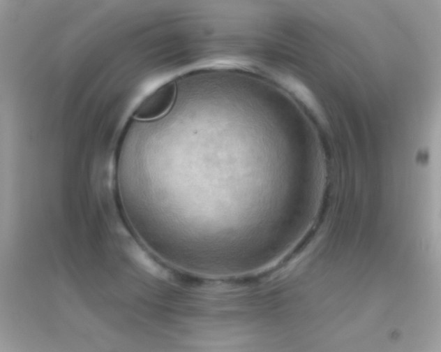 X0000095121420200712071230