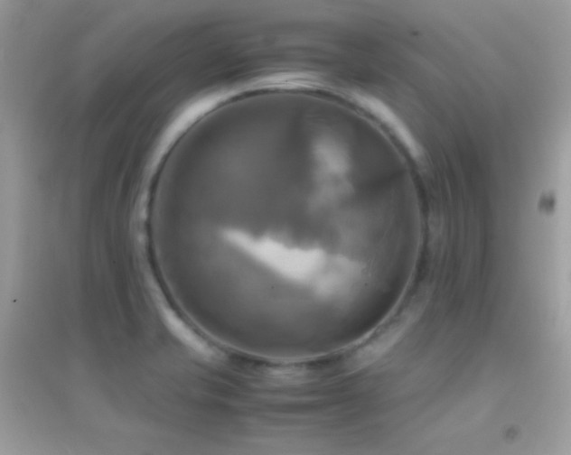 X0000095121421200712071230