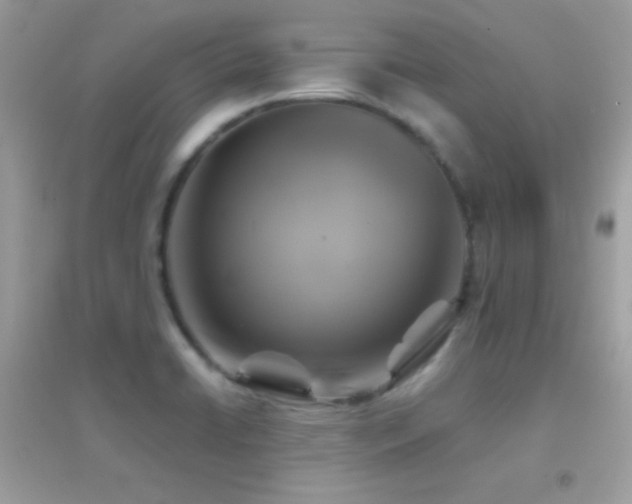 X0000095121422200712071230