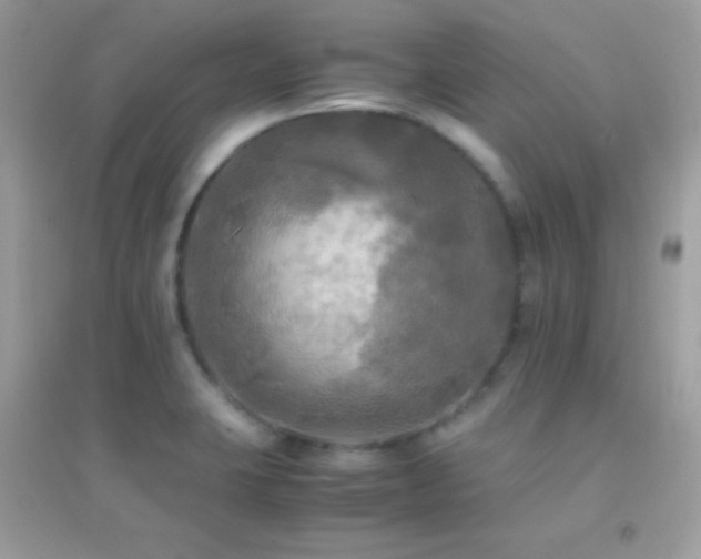 X0000095121423200712071230