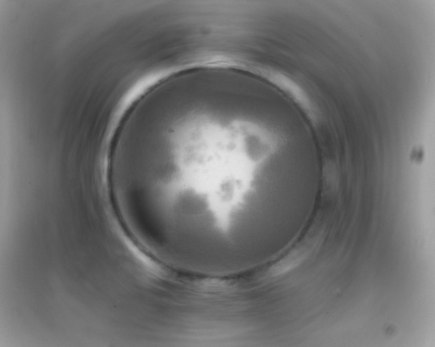 X0000095121424200712071230