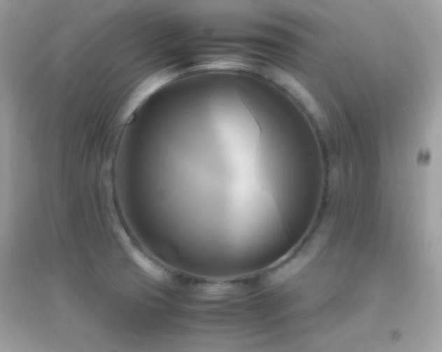 X0000095121425200712071230