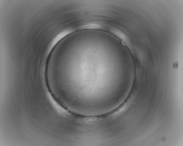 X0000095121426200712071230