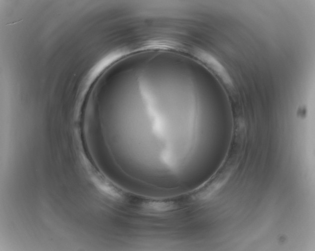 X0000095121427200712071230