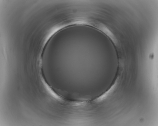 X0000095121428200712071230