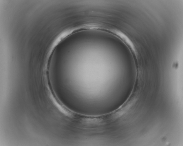 X0000095121429200712071230