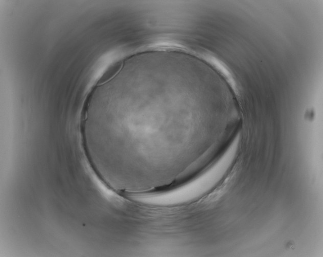 X0000095121430200712071230