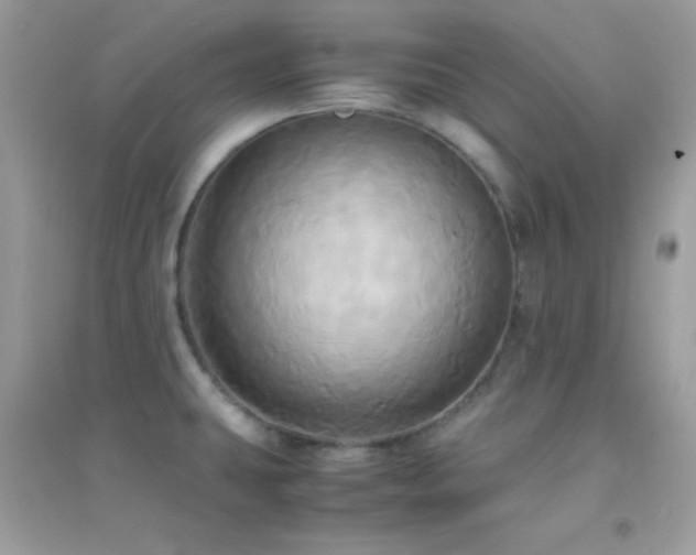 X0000095121431200712071230