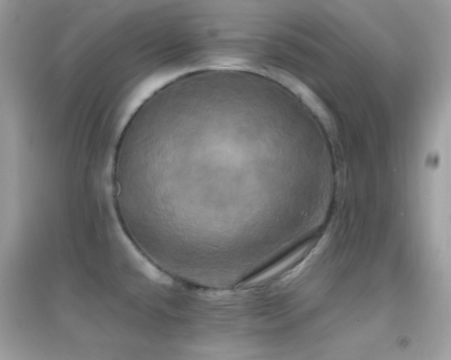 X0000095121432200712071230