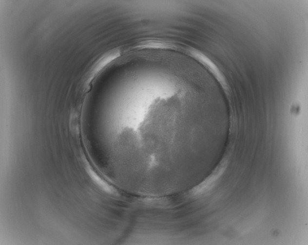 X0000095121433200712071230