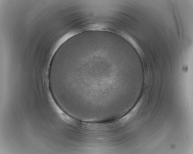 X0000095121434200712071230
