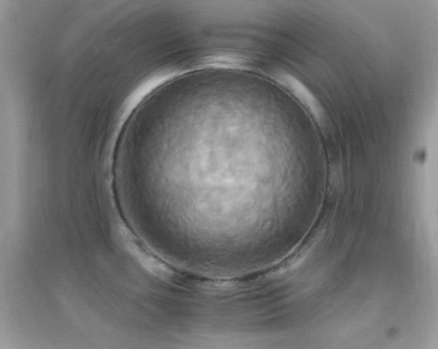 X0000095121435200712071230