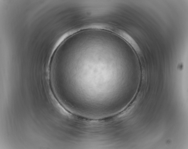 X0000095121436200712071230