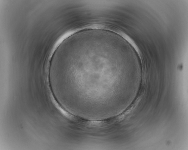 X0000095121437200712071230