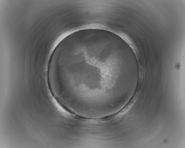 X0000095121438200712071230