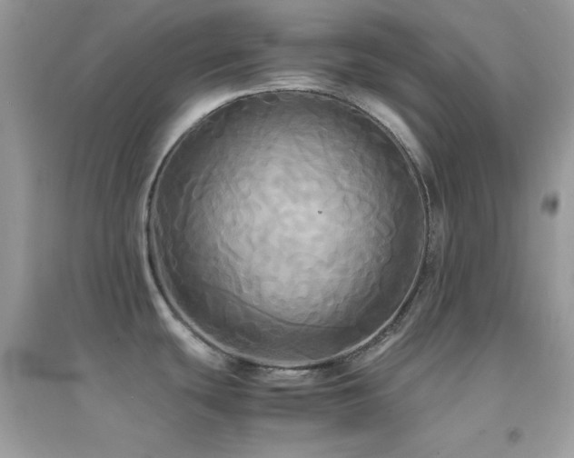 X0000095121439200712071230