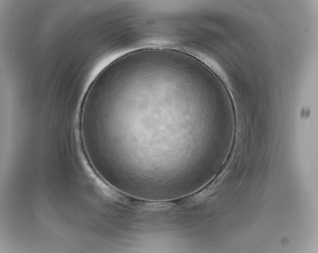 X0000095121440200712071230