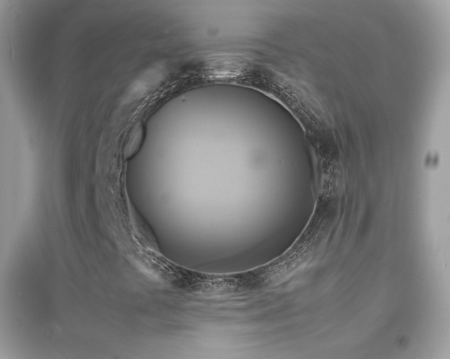 X0000095121441200712071229