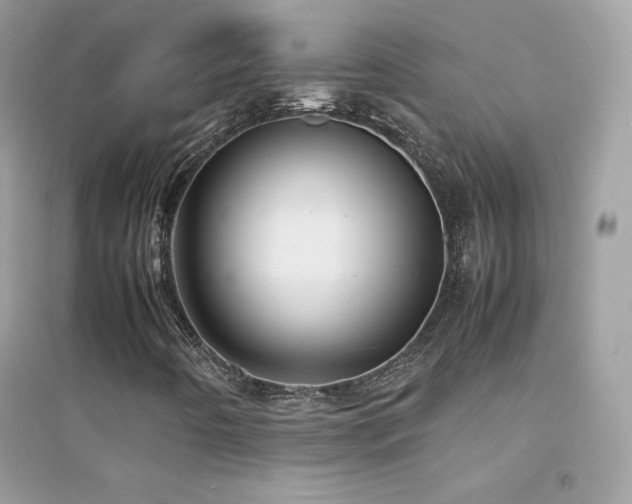X0000095121442200712071229