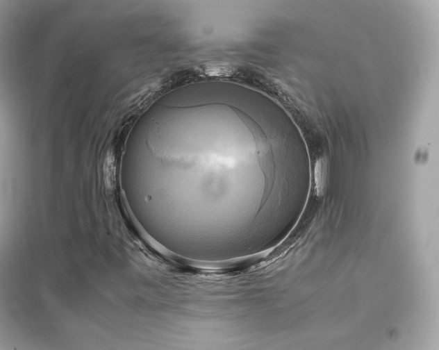 X0000095121443200712071229