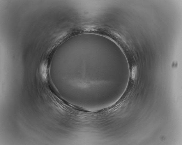 X0000095121444200712071229