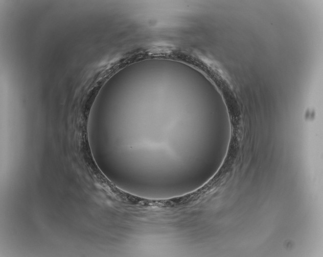 X0000095121445200712071229