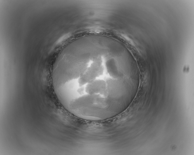 X0000095121446200712071229