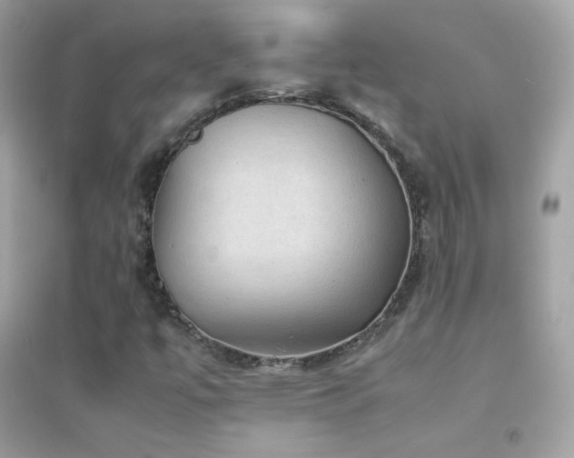 X0000095121447200712071229