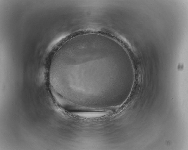 X0000095121448200712071229