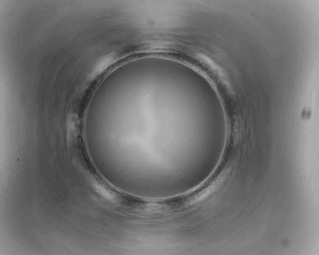 X0000095121449200712071229
