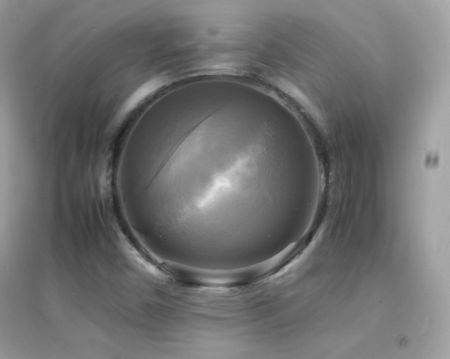 X0000095121450200712071229