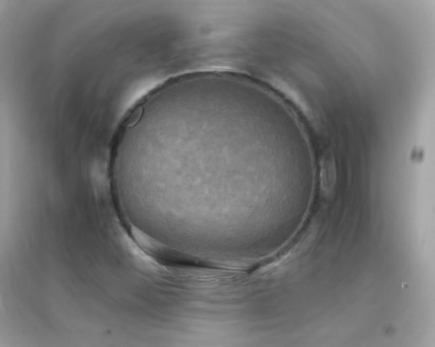 X0000095121452200712071229