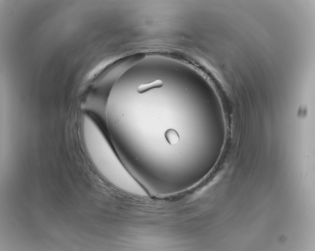 X0000095121453200712071229