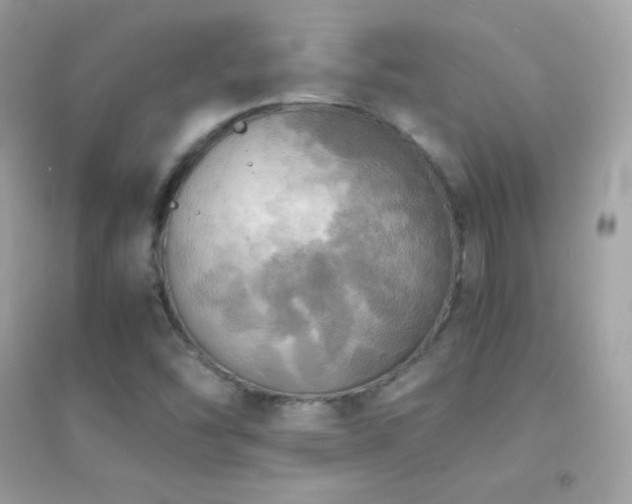 X0000095121454200712071229