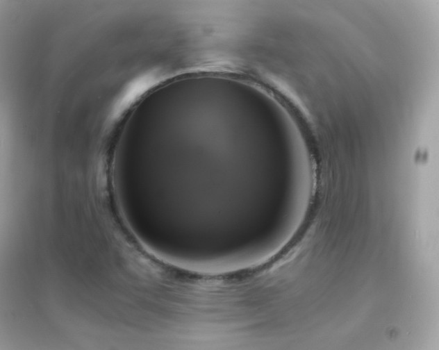 X0000095121455200712071229
