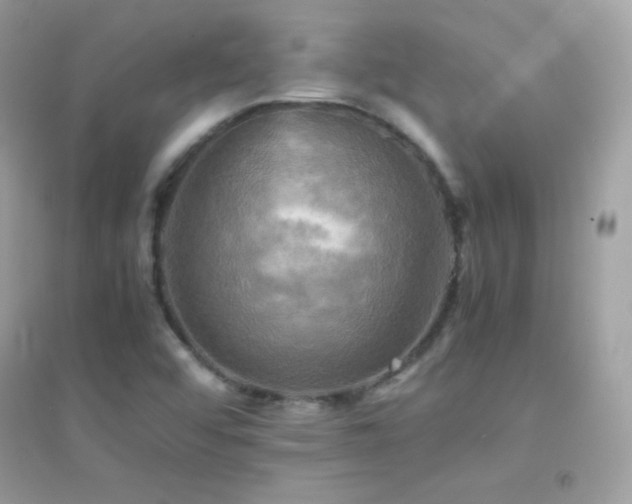 X0000095121456200712071229