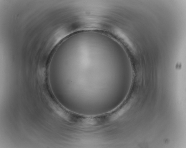 X0000095121457200712071229