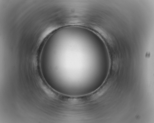 X0000095121458200712071229