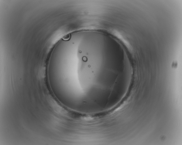 X0000095121459200712071229