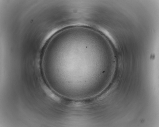 X0000095121460200712071229