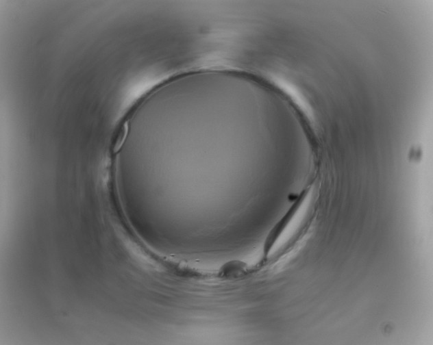 X0000095121461200712071229
