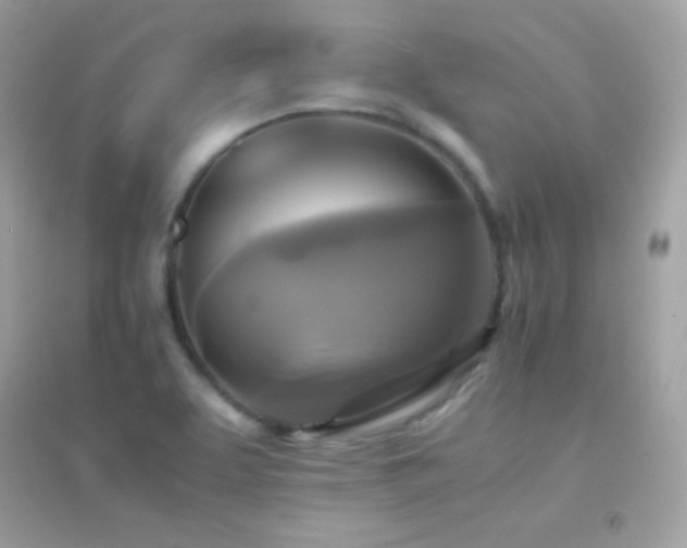 X0000095121463200712071229