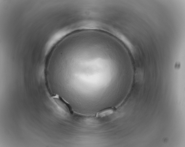 X0000095121464200712071229