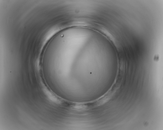 X0000095121466200712071229