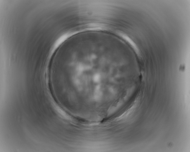 X0000095121467200712071229