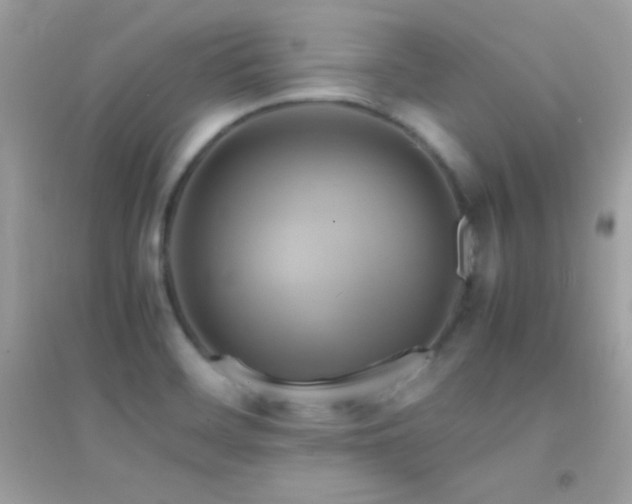 X0000095121468200712071229