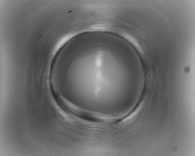 X0000095121469200712071229