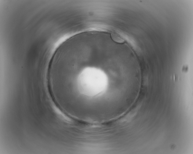 X0000095121471200712071229