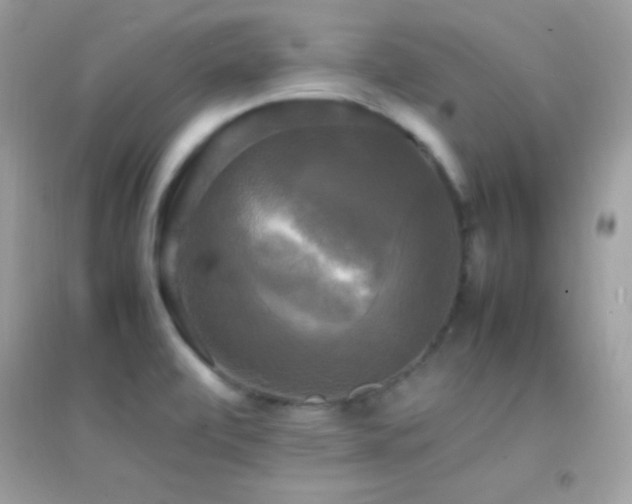 X0000095121472200712071229